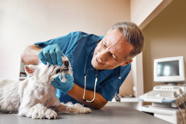 Best Emergency Tooth Extraction  in East Milton, FL